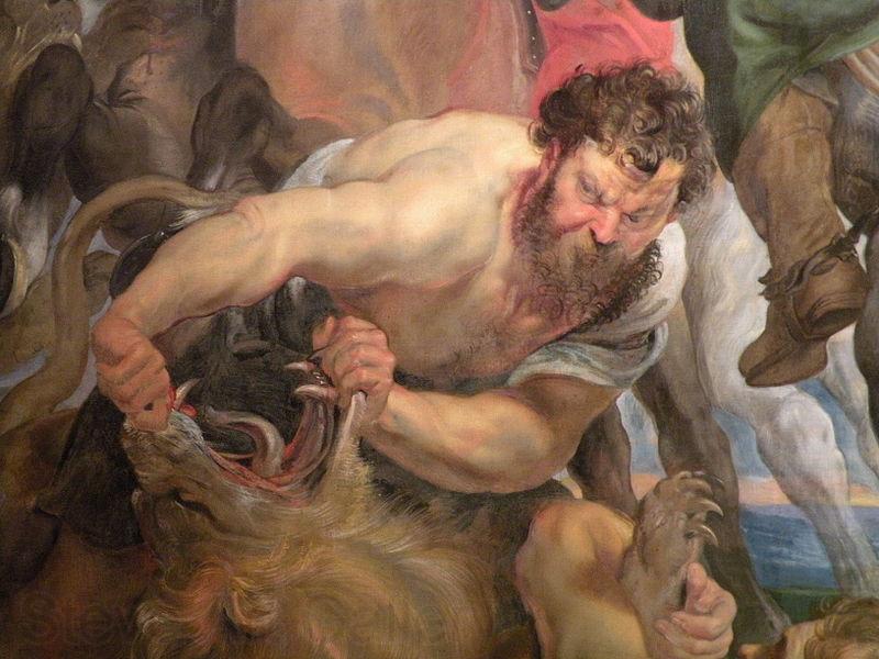 Peter Paul Rubens La Chasse au tigre Spain oil painting art